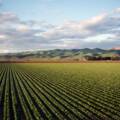 Aspectos a considerar antes de comprar una parcela agrícola