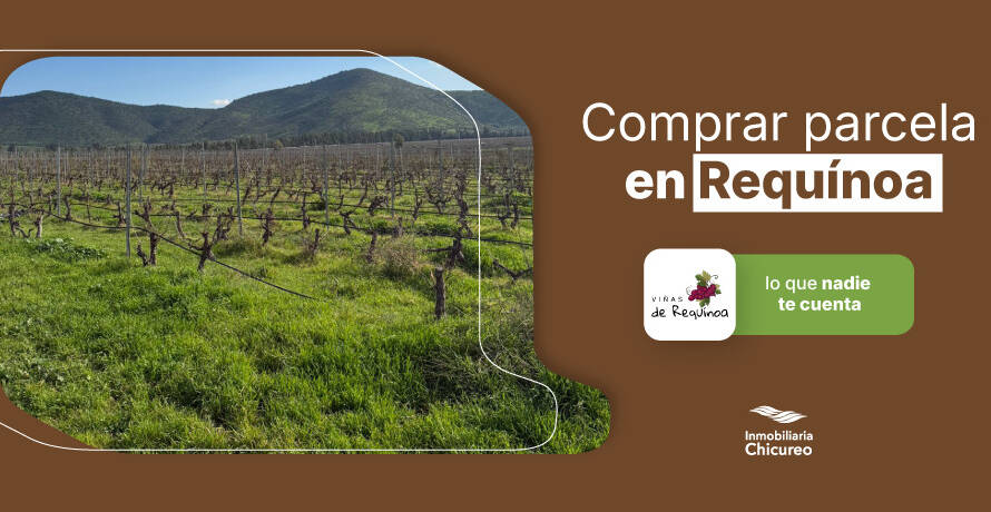 Viñedos y paisaje rural del proyecto Viñas de Requínoa en el valle de Cachapoal