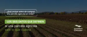 Comprar parcela agrícola en Chile con Inmobiliaria Chicureo