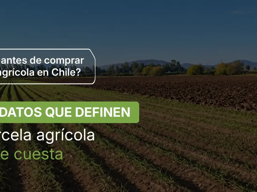Comprar parcela agrícola en Chile con Inmobiliaria Chicureo
