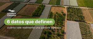 6 datos que definen el valor de una parcela agrícola en Chile