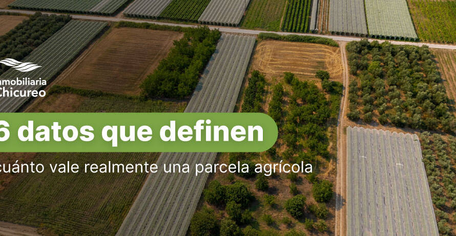 6 datos que definen el valor de una parcela agrícola en Chile