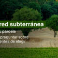 Acequia o red subterránea: qué cambia en tu parcela